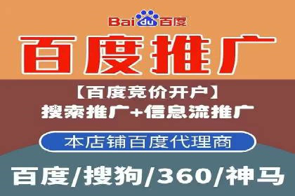 网络推广与竞价广告：双管齐下的策略案例